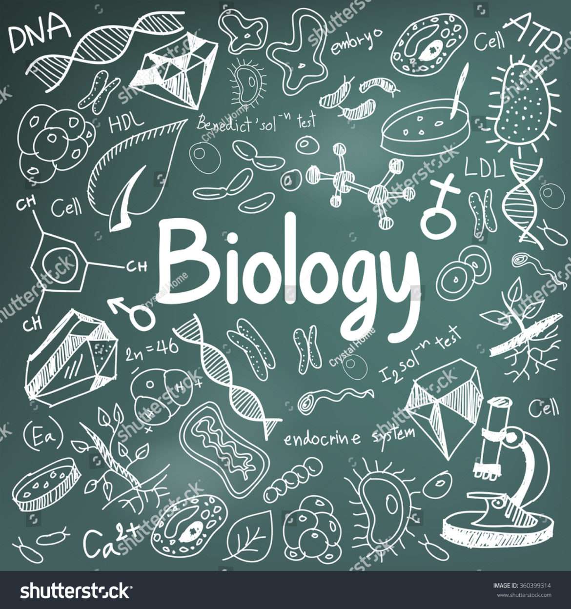 stock-vector-biology-science-theory-doodle-handwriting-and-tool-model-icon-in-blackboard-background-used-for-360399314
